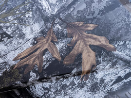 27YM-TRX520FA6-T3b-Camo-aws-08